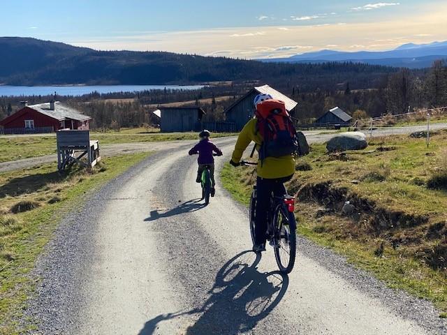 På vei til Olestølen