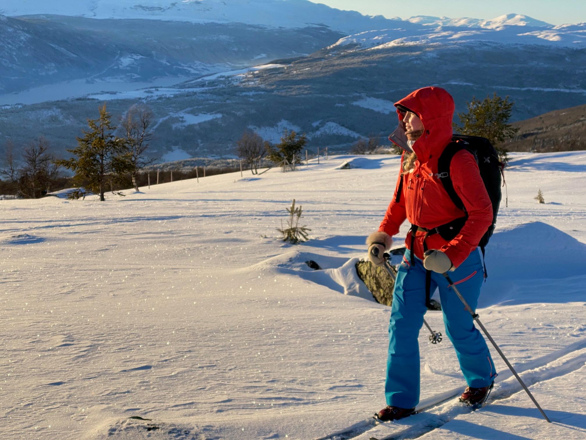 Fjellski