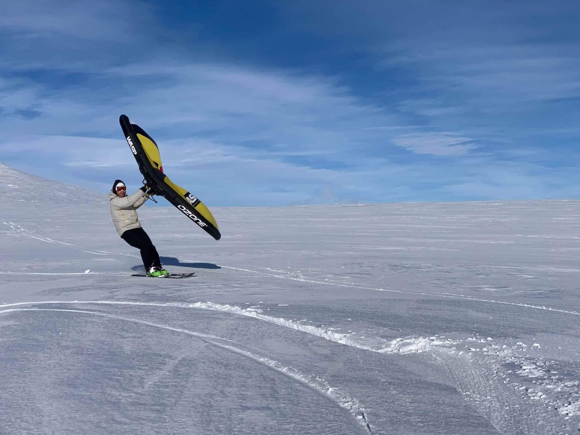 kitewing
