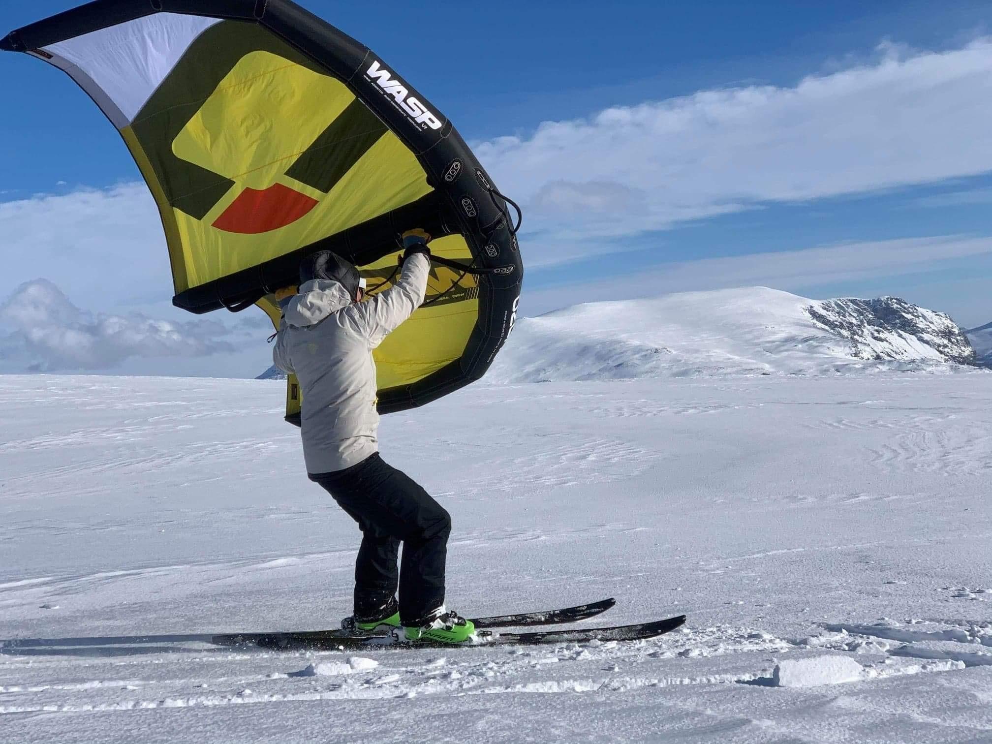 kitewing